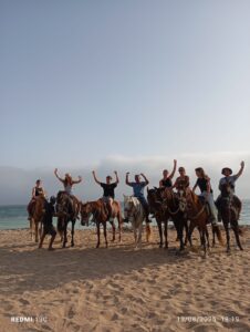 IMG 20260227 WA0003 226x300