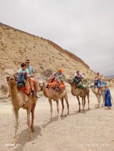 IMG 20260227 WA0027 226x300