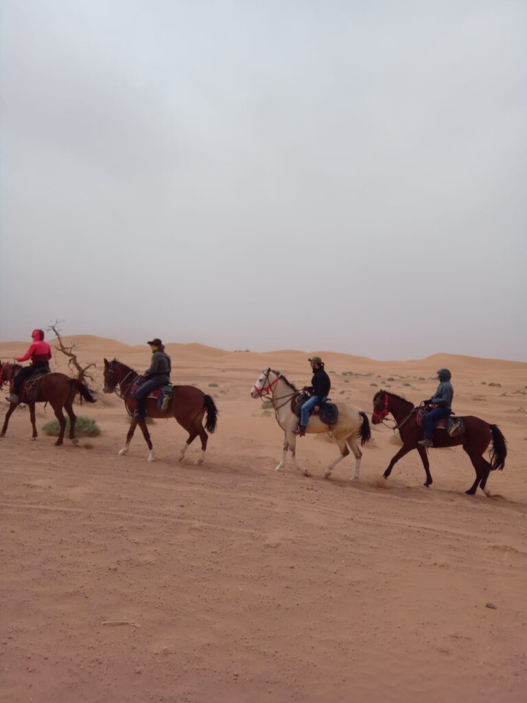 WhatsApp Image 2026 03 06 At 12.17.31 768x1024