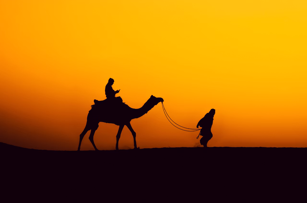 camel riding
