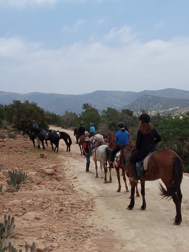 horse riding in agadir