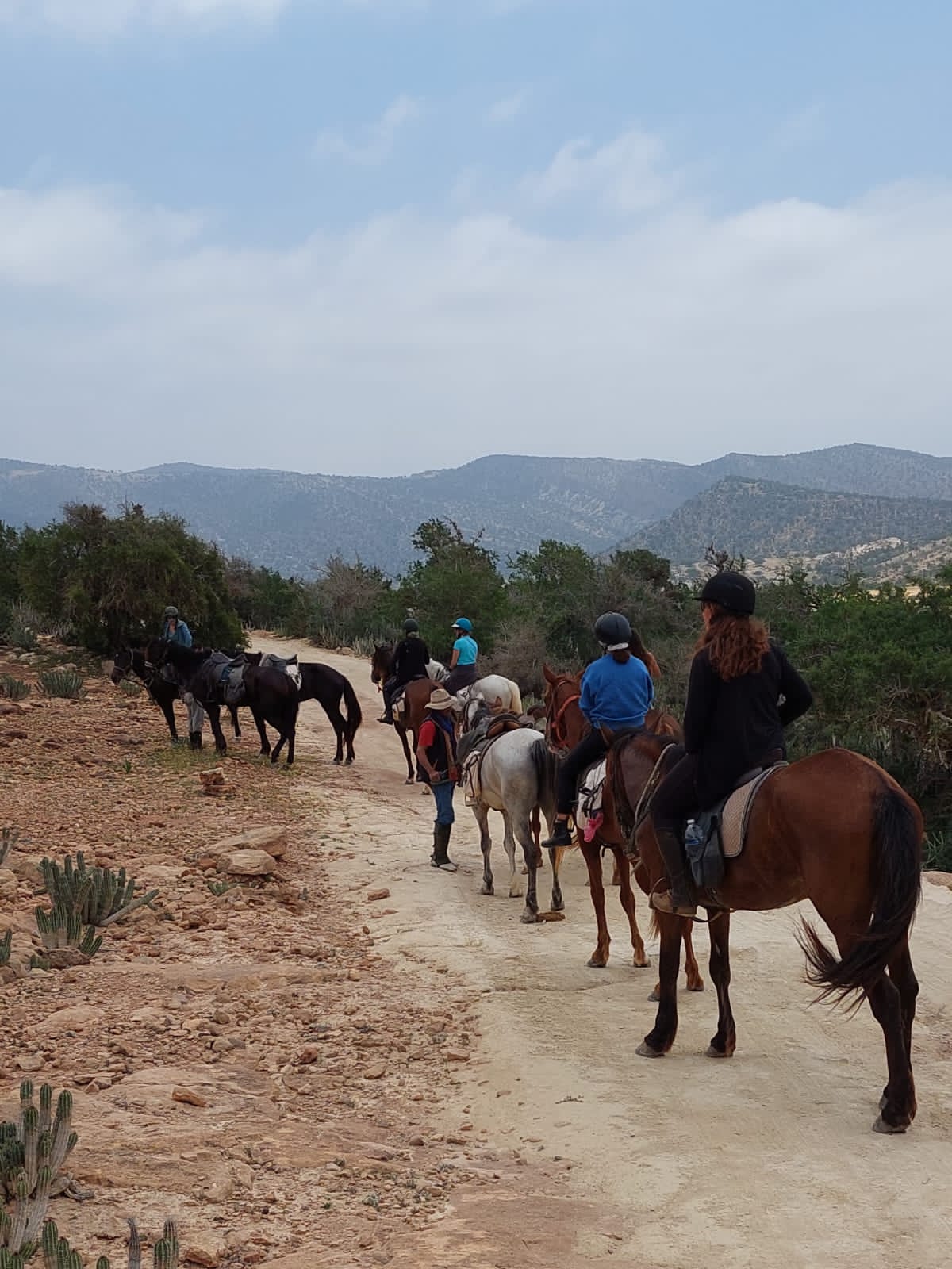 img 20260227 wa0032.jpg