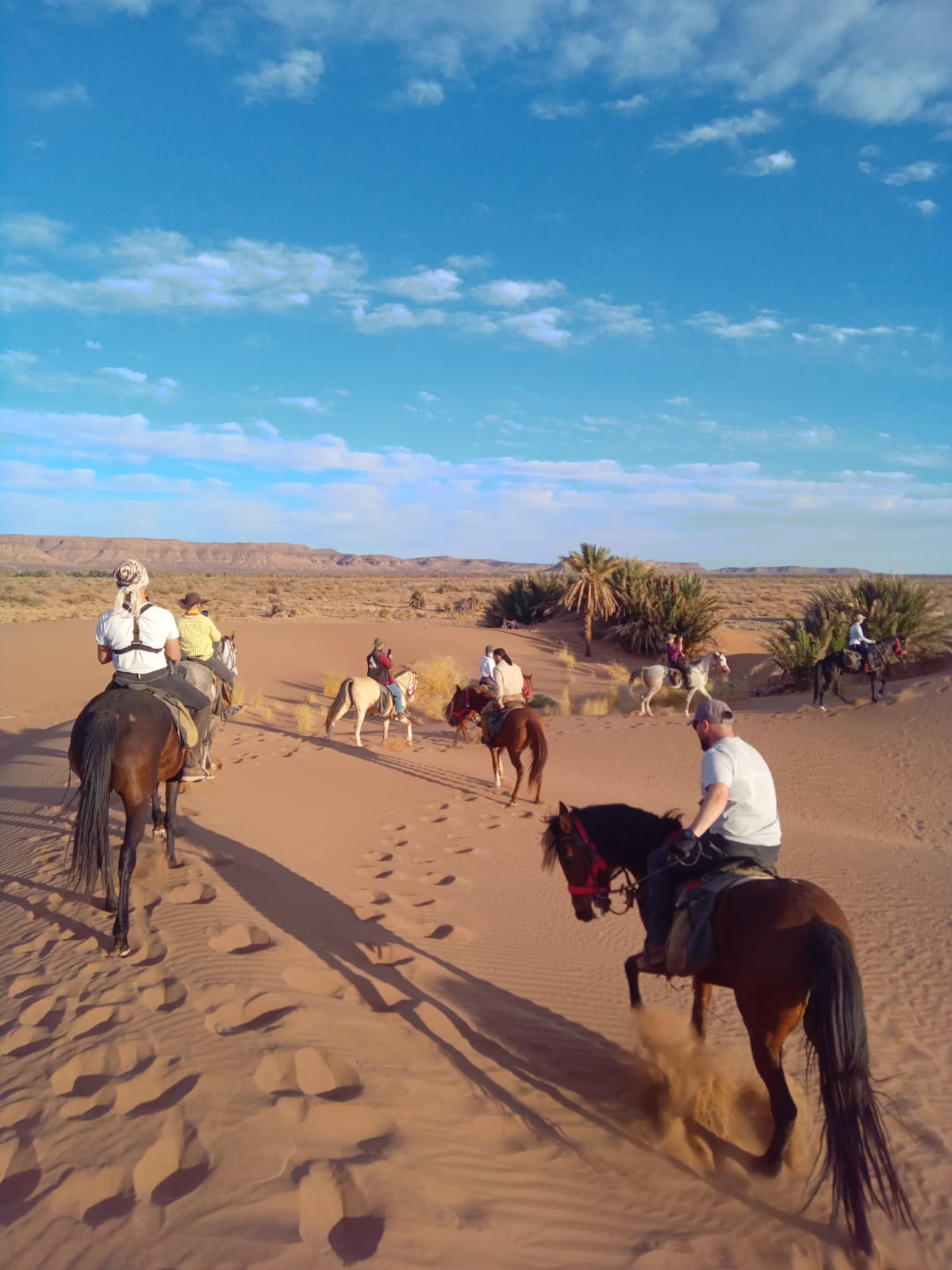 whatsapp image 2026 03 06 at 12.17.31 1 1.jpeg