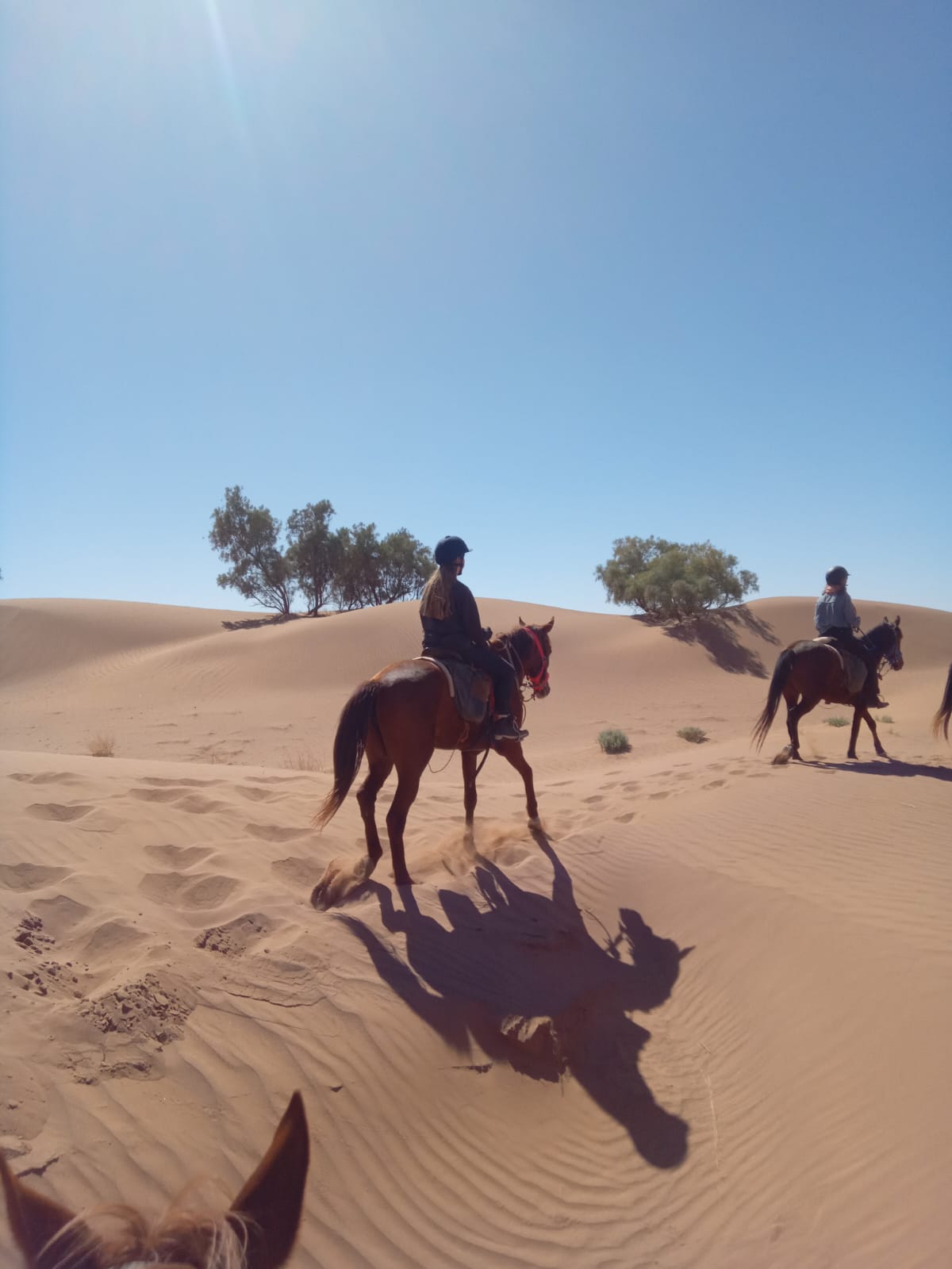 whatsapp image 2026 03 06 at 12.17.32 2.jpeg