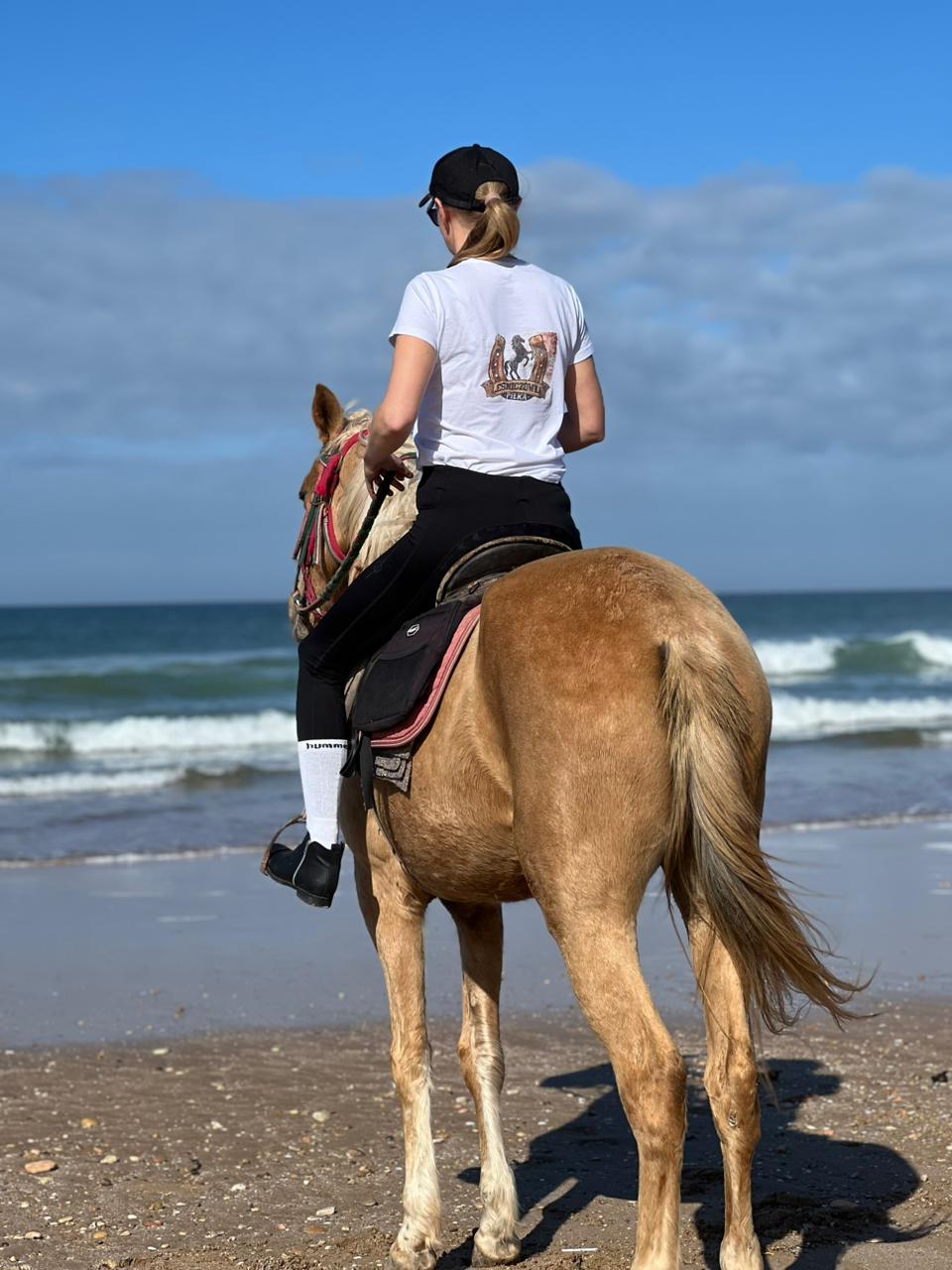 whatsapp image 2026 03 18 at 13.17.28.jpeg