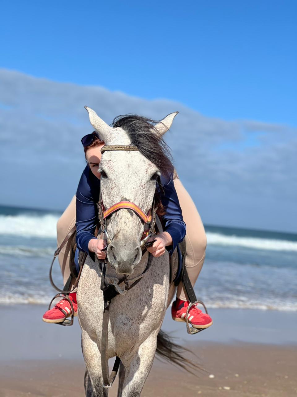 whatsapp image 2026 03 18 at 13.17.33.jpeg