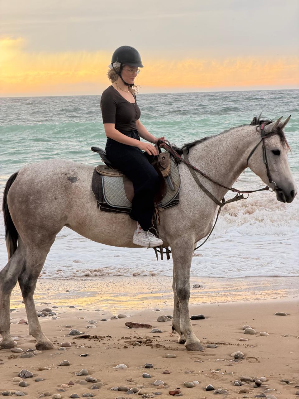 whatsapp image 2026 03 26 at 22.44.03.jpeg