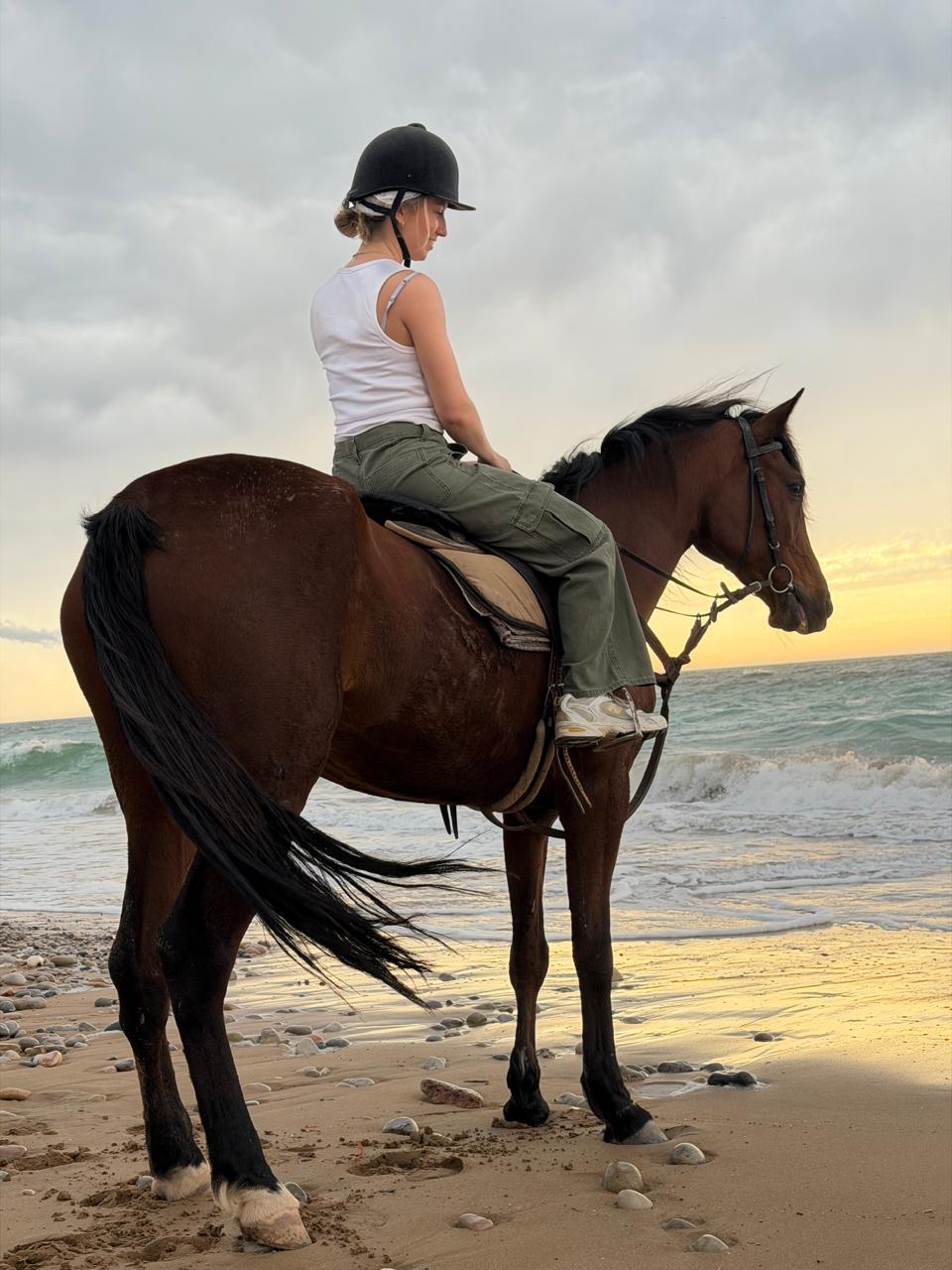 whatsapp image 2026 03 26 at 22.44.04.jpeg