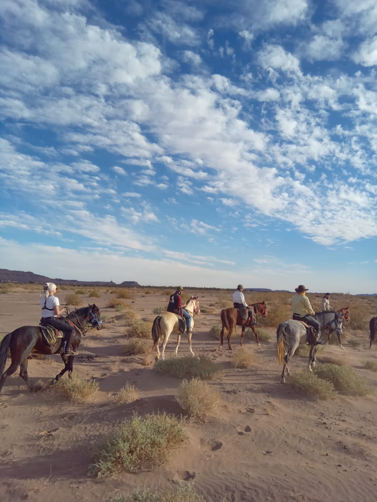 whatsapp image 2026 03 30 at 00.34.30 1.jpeg