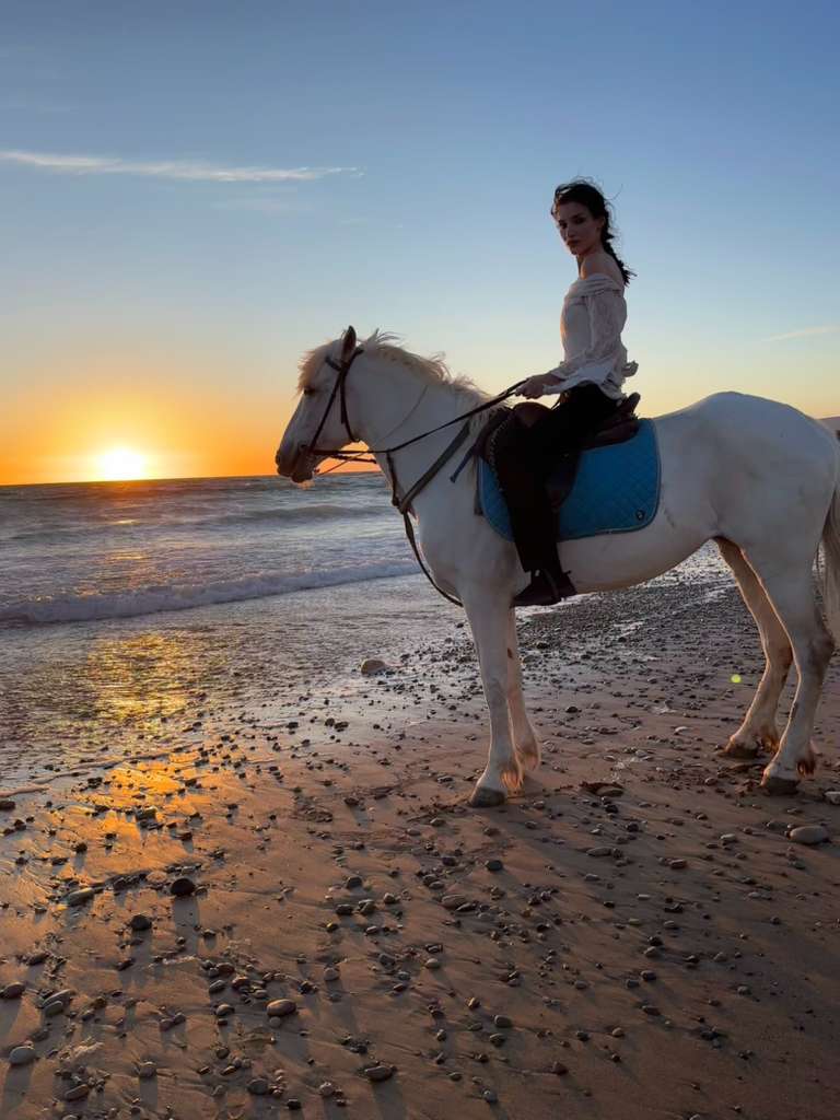 horse rides
