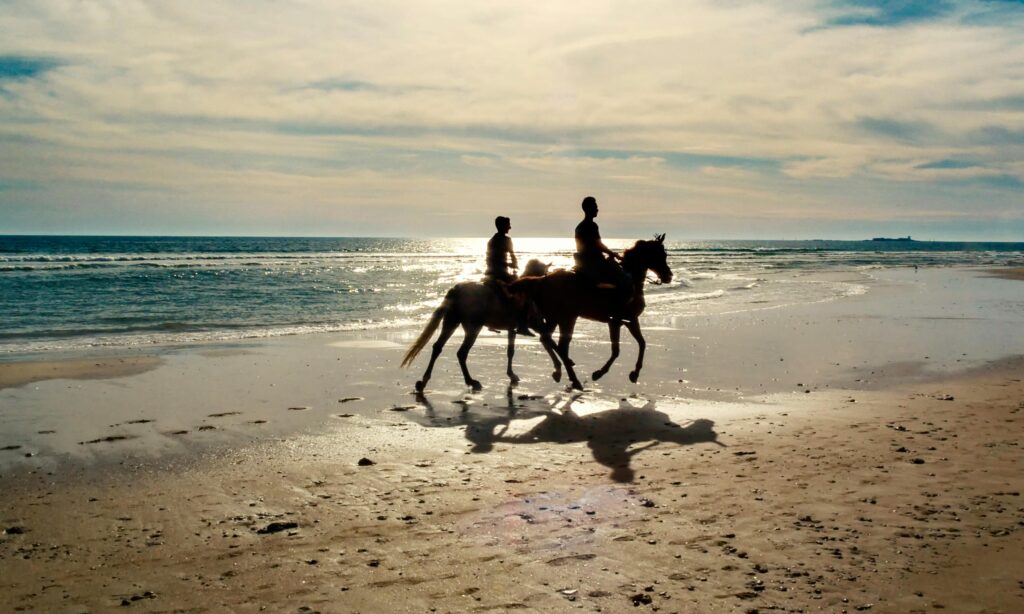 horse riding in beach