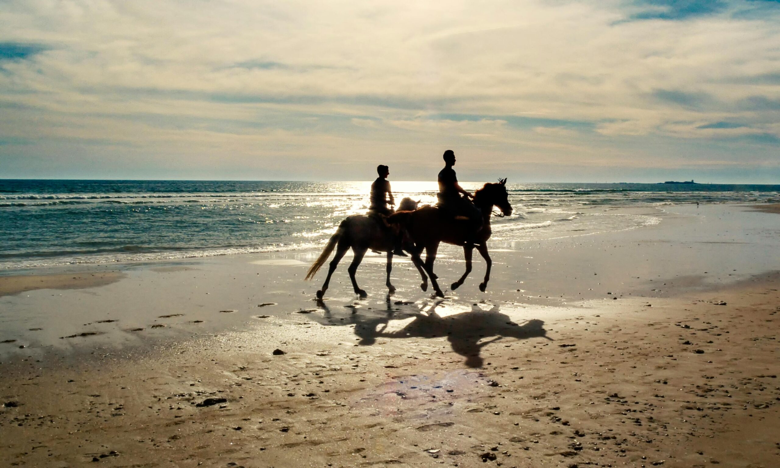 horse riding in beach