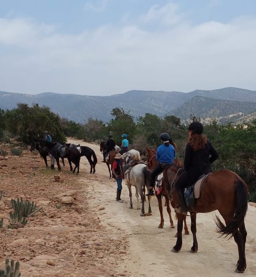 horse riding in agadir