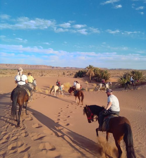 horse riding in agadir