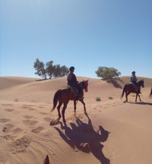 horse riding in agadir